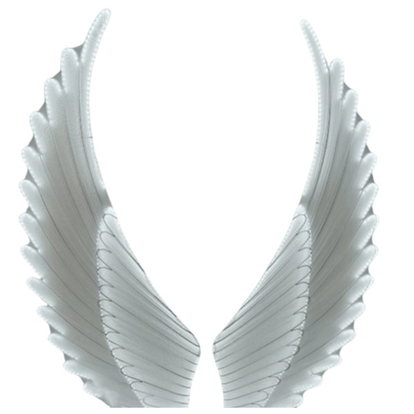 Angel Wings LED Wedding Floor Light - 图片 6
