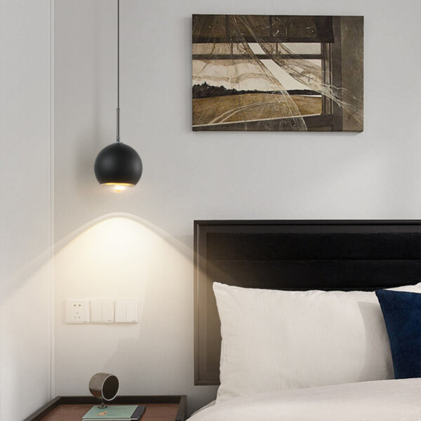 D10/12CM Lifting Aluminum Pendant Lamp - 图片 6