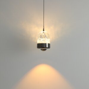 D11CM Golden Black Acrylic Pendant Lamp