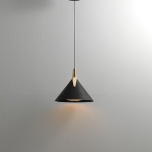 D18cm Aluminum LED Pendant Lamp
