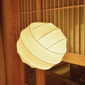 D50CM Silk Ball LED Pendant Light