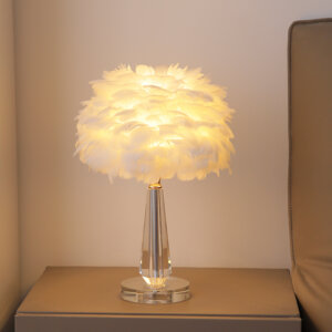 D30CM Crystal Feather Table Light