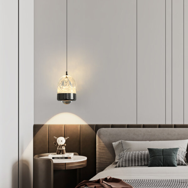 D11CM Golden Black Acrylic Pendant Lamp - 图片 3