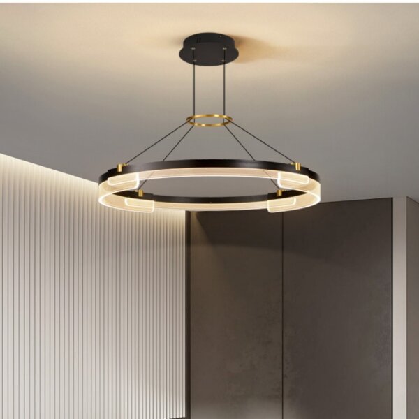 D100CM Round Acrylic Black LED Pendant Light - 图片 3