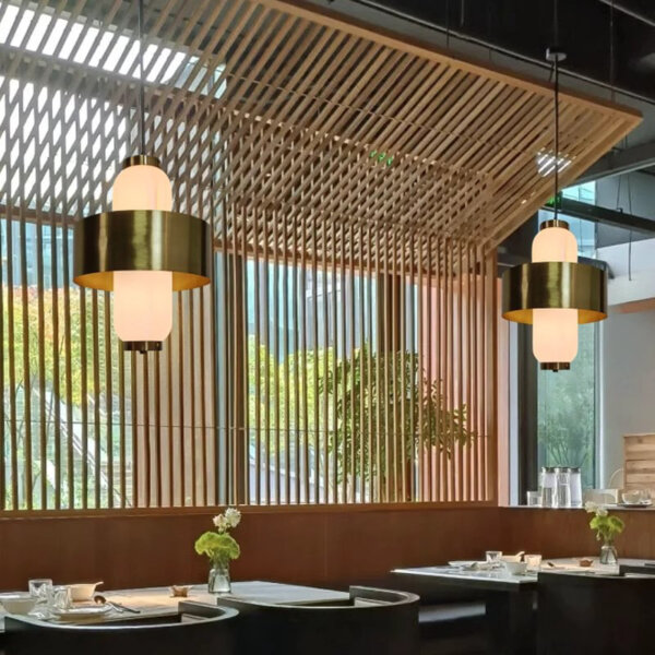 H40CM Black Iron Glass Pendant Lamp - 图片 4