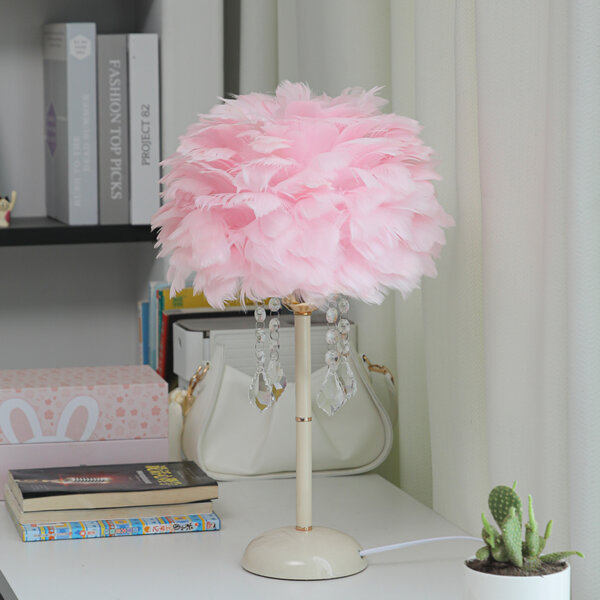 H48CM Hardware Feather Table Lamp - 图片 4