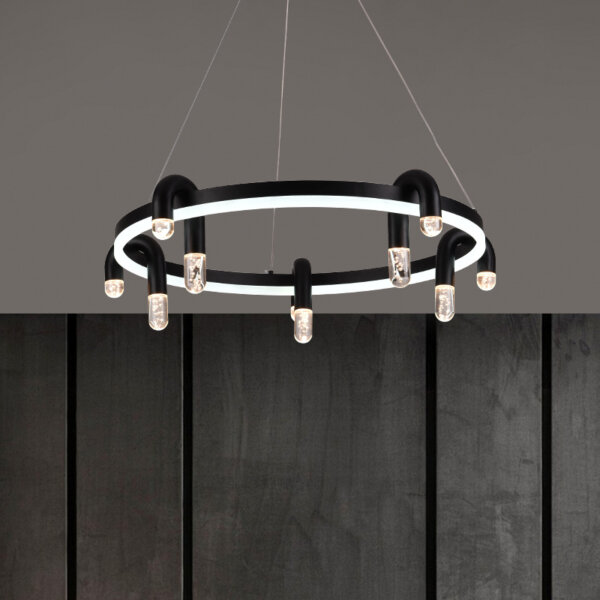 Aluminum Iron LED Pendant Lamp - 图片 4