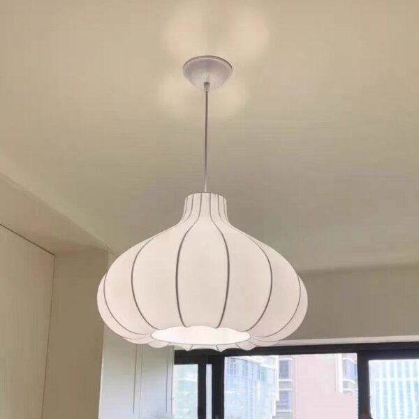 D60CM Iron Silk Pendant Lamp - 图片 5