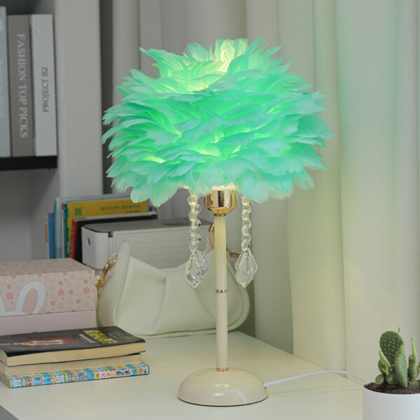 H48CM Hardware Feather Table Lamp - 图片 5