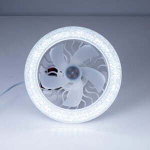 Remote Control Mini Ceiling Fan Light