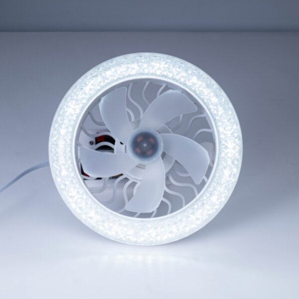 Remote Control Mini Ceiling Fan Light
