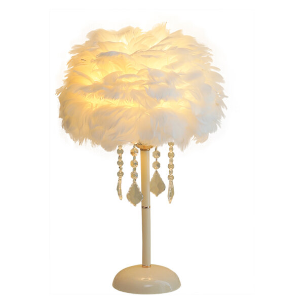 H48CM Hardware Feather Table Lamp - 图片 6