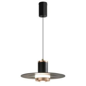 D24CM Black Flying Saucer Pendant Lamp
