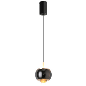 D10CM LED Lens Metal Pendant Light