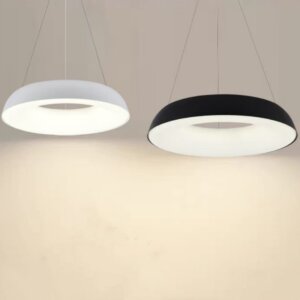 D48/58cm Ring Iron PE Pendant Lamp
