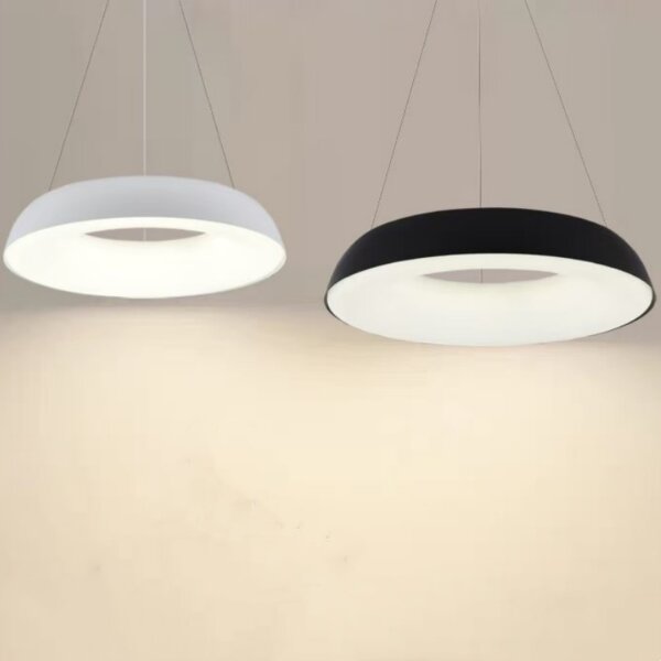 D48/58cm Ring Iron PE Pendant Lamp