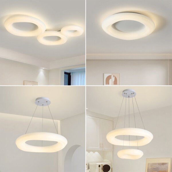 Iron PE Ring Round Pendant Light - 图片 2