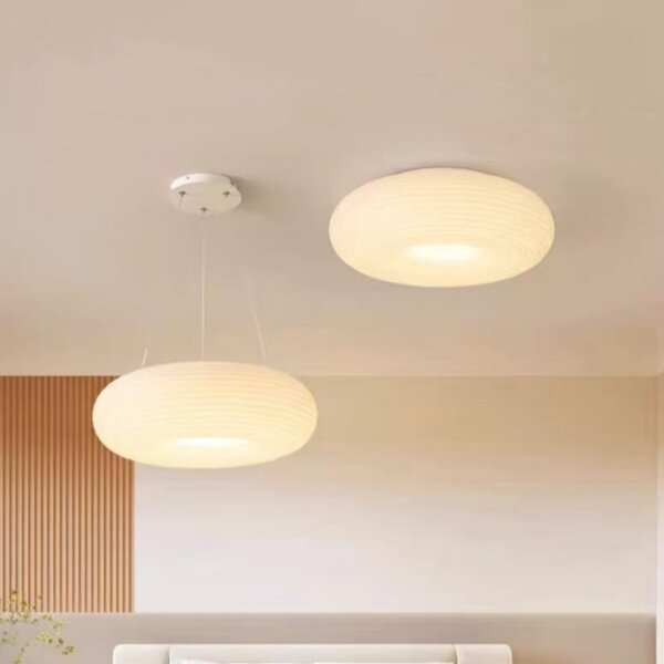 D20/35/50cm Iron PE Pendant Lamp - 图片 2