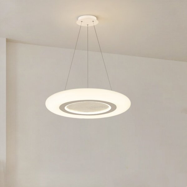 D46/60cm Black White PE Pendant Lamp - 图片 2