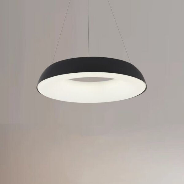 D48/58cm Ring Iron PE Pendant Lamp - 图片 2