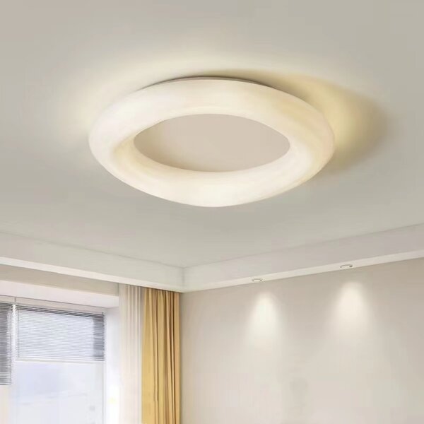 Iron PE Ring Round Pendant Light - 图片 3