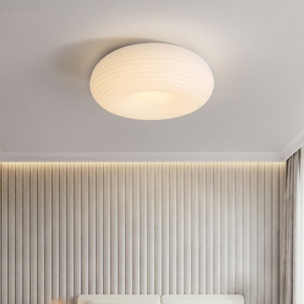 D20/35/50cm Iron PE Pendant Lamp - 图片 3
