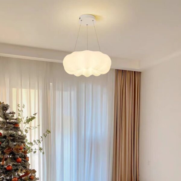 D45/55/65cm Iron PE Pendant Light - 图片 4