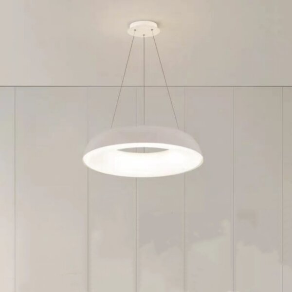 D48/58cm Ring Iron PE Pendant Lamp - 图片 3