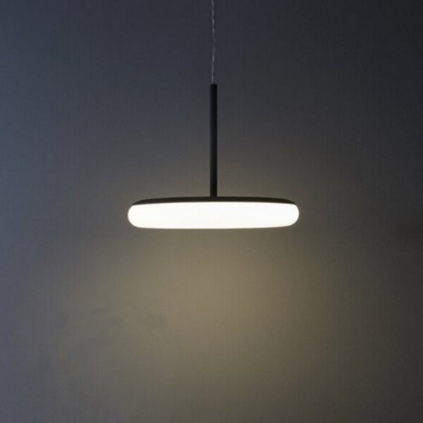 Matt Black White LED PE Pendant Lamp - 图片 3