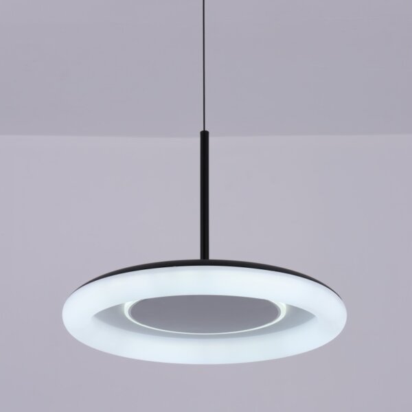 Matt Black White LED PE Pendant Lamp - 图片 4