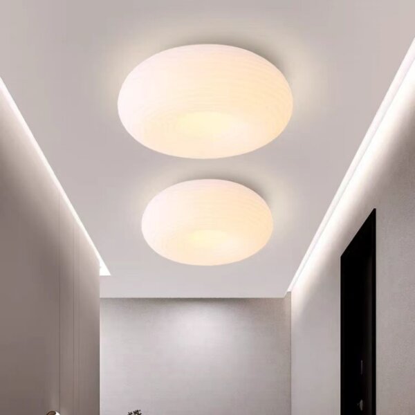 D20/35/50cm Iron PE Pendant Lamp - 图片 4