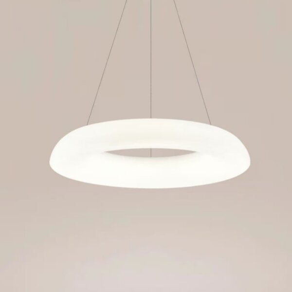 D48/58cm Ring Iron PE Pendant Lamp - 图片 4