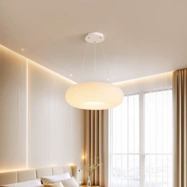 D20/35/50cm Iron PE Pendant Lamp - 图片 5