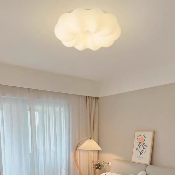 D45/55/65cm Iron PE Pendant Light - 图片 5