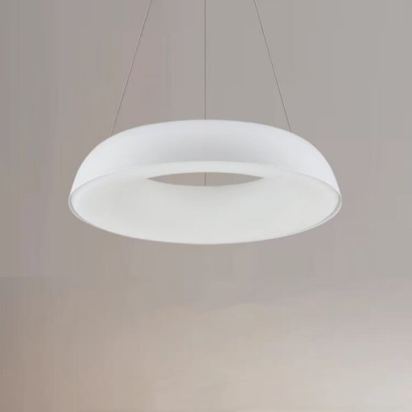 D48/58cm Ring Iron PE Pendant Lamp - 图片 5