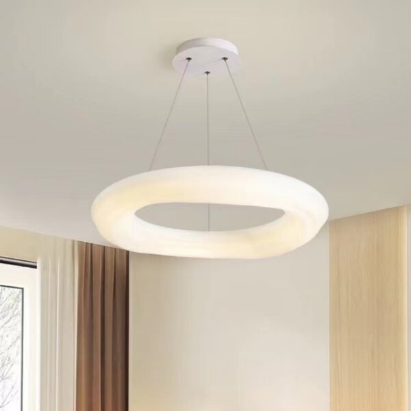 Iron PE Ring Round Pendant Light - 图片 5