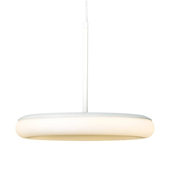 Matt Black White LED PE Pendant Lamp - 图片 7