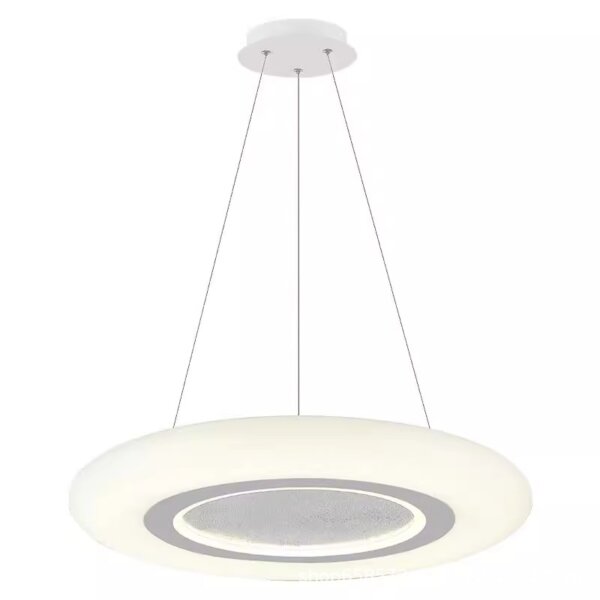 D46/60cm Black White PE Pendant Lamp - 图片 6