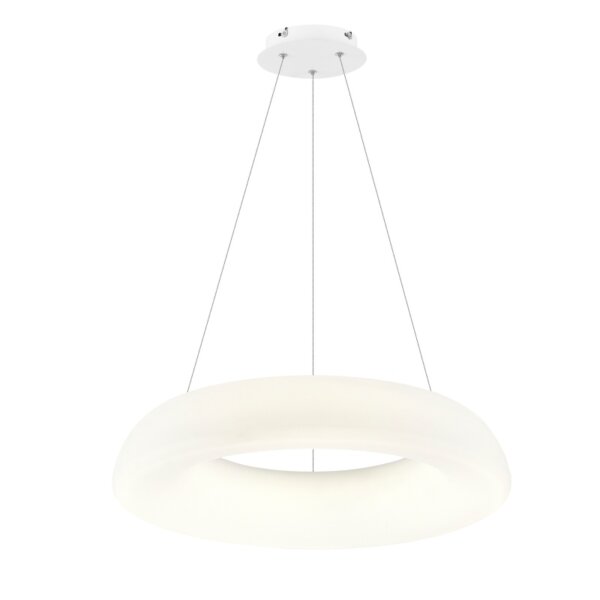 D48/58cm Ring Iron PE Pendant Lamp - 图片 6