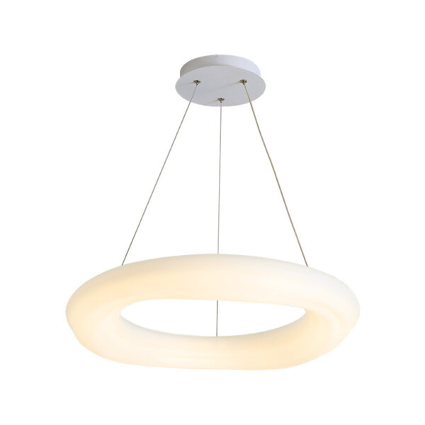 Iron PE Ring Round Pendant Light - 图片 6