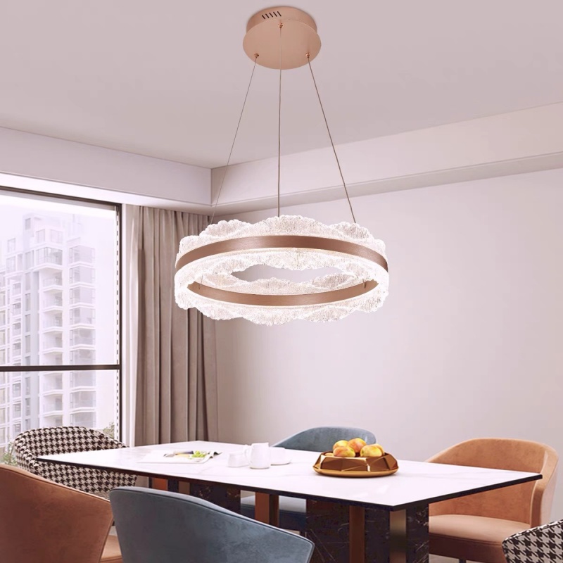 Acrylic Leaf Round LED Pendant Lamp - 图片 6