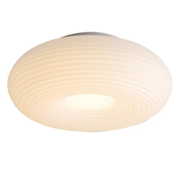 D20/35/50cm Iron PE Pendant Lamp - 图片 6